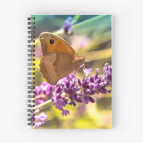 Item preview, Butterfly and lavender, flower and insect photography designed and sold by Stéphane  Thirion.