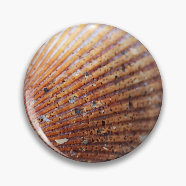 Item preview, Macro Shell designed and sold by Lydia Planalp.