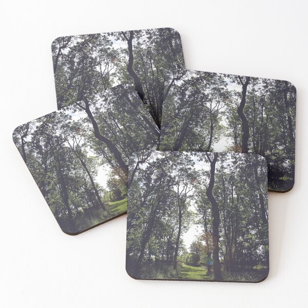 Item preview, Sunshine breaking through the tree tops designed and sold by crawforddesign.
