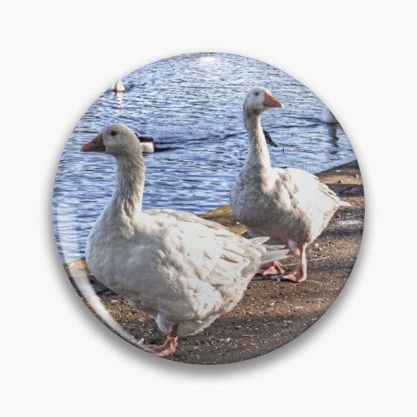 Item preview, Embden Geese designed and sold by tomg.
