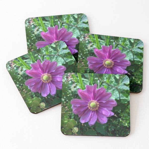 Land Anemone Coasters (Set of 4)