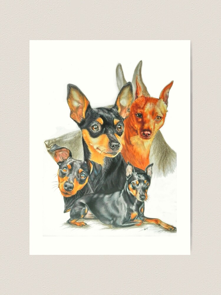 Miniature pinscher and papillon purebreed dogs Tapestry by