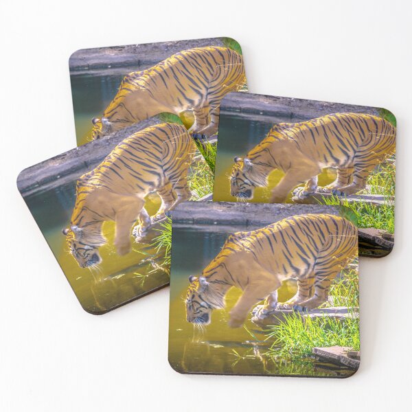 Item preview, Tiger Heading for a Swim designed and sold by Steven Jodoin.