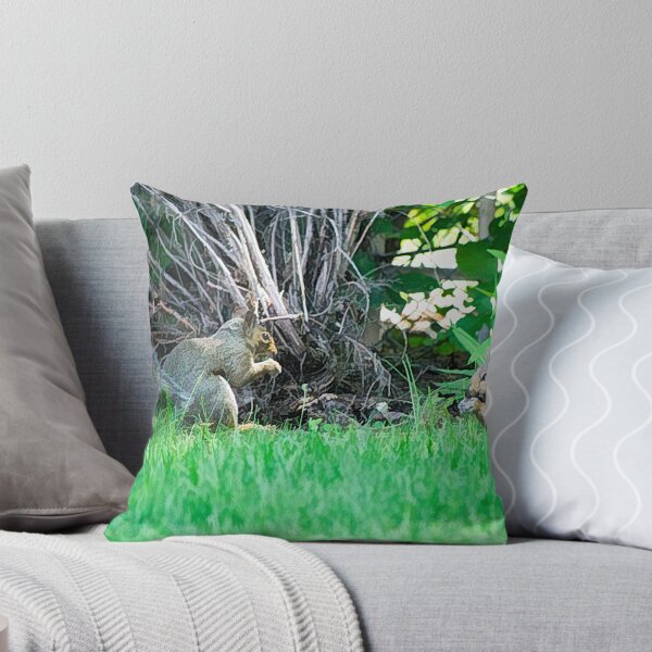 Item preview, Squirrels snacking together illustration designed and sold by CanadianWild418.