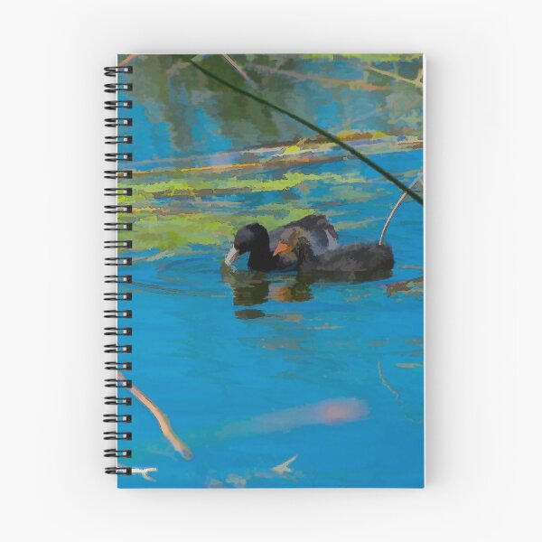 Item preview, American Coot with young illustration designed and sold by CanadianWild418.
