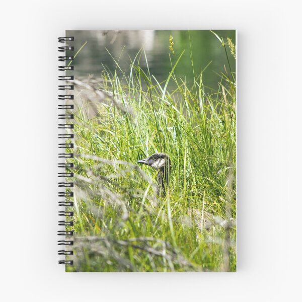Item preview, Geese in the tall grass with young. designed and sold by CanadianWild418.