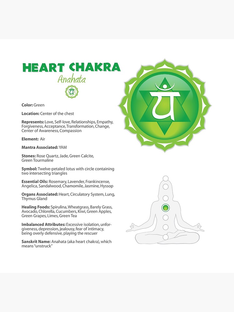 Yoga Asanas (Poses) Root Chakra Chart - 75 WBG-P Art Board Print for Sale  by chakraplaza