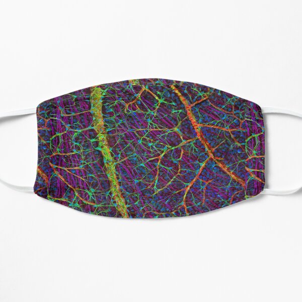 Eye, retina blood vessels and nerve cells Mask