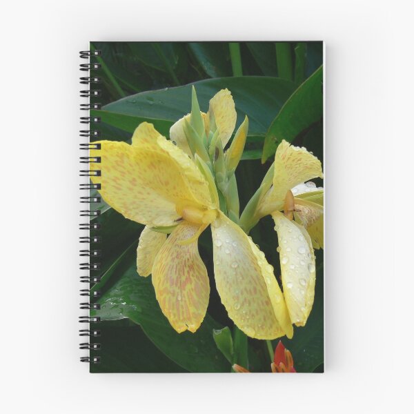 Item preview, Yellow Flower designed and sold by Monika's Shop.