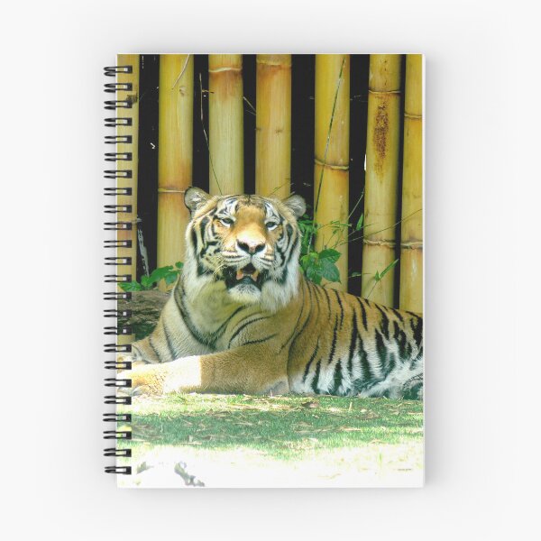 Item preview, Tiger at Busch Gardens, Tampa, FL designed and sold by Monika's Shop.