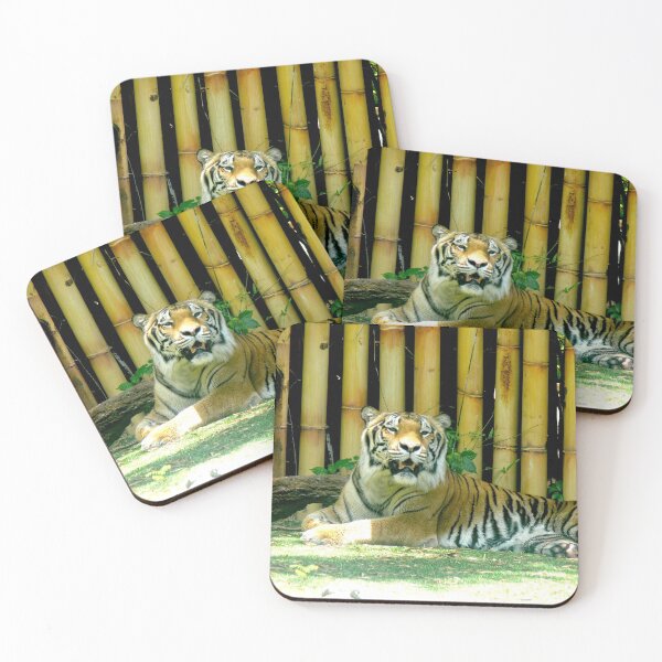 Item preview, Tiger at Busch Gardens, Tampa, FL designed and sold by Monika's Shop.