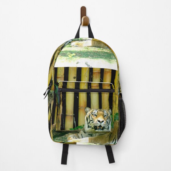Item preview, Tiger at Busch Gardens, Tampa, FL designed and sold by Monika's Shop.