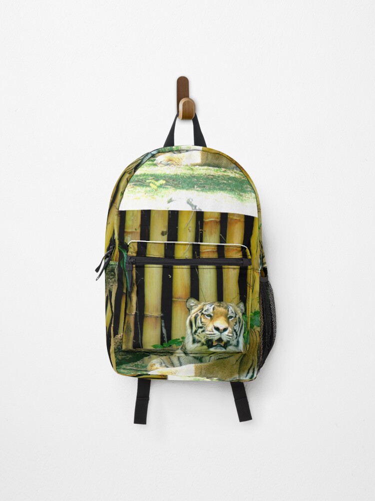 Can You Bring a Backpack to Busch Gardens: Ultimate Packing Guide