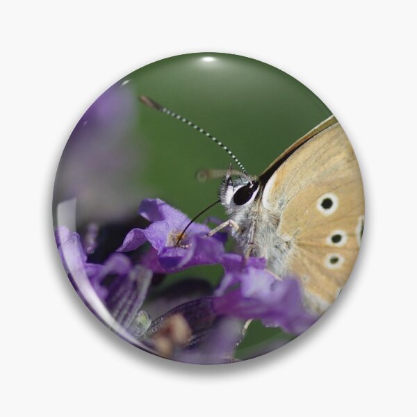 Item preview, Provencal butterfly designed and sold by Haliotis.