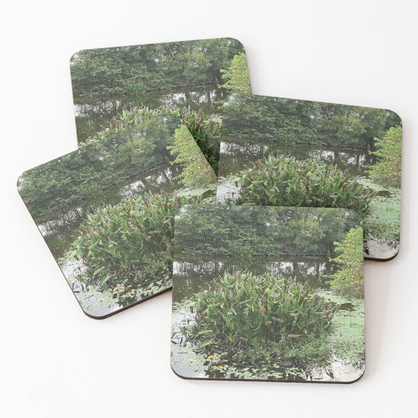 Item preview, Mesmerizing Nature View Wakodahatchee Wetlands Florida designed and sold by JDMHoney.
