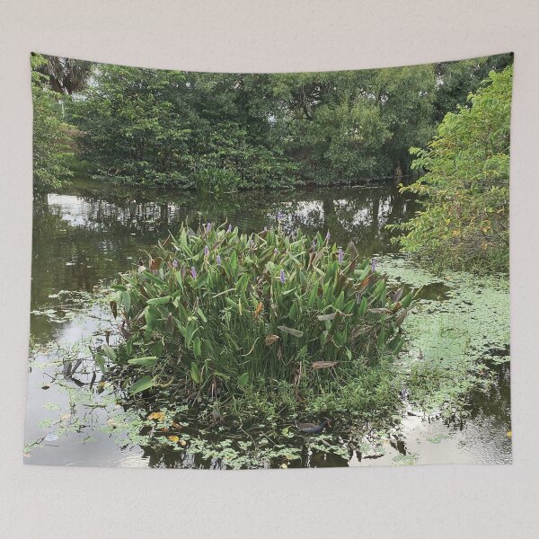 Item preview, Mesmerizing Nature View Wakodahatchee Wetlands Florida designed and sold by JDMHoney.