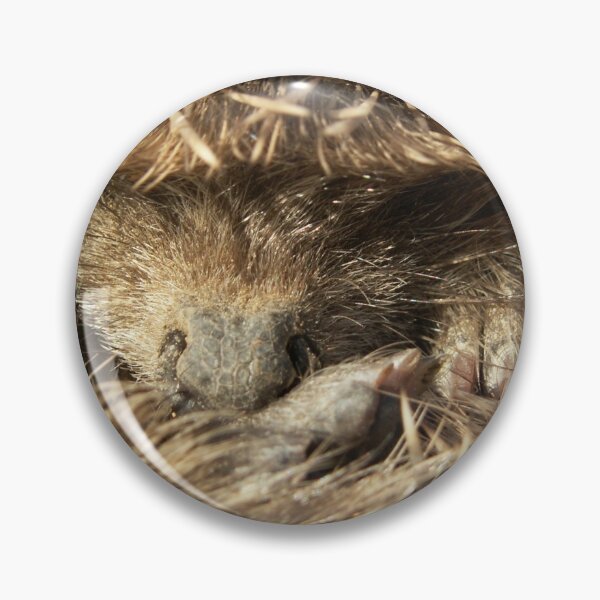 Item preview, En boule designed and sold by Haliotis.
