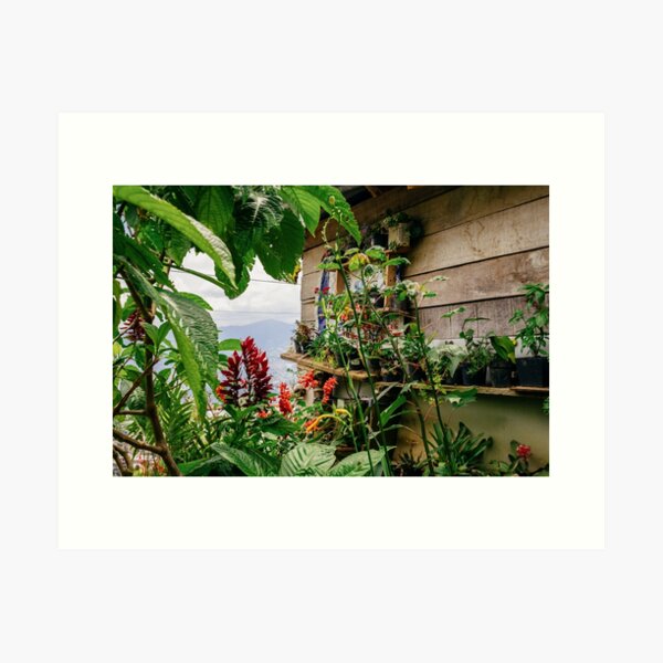 Item preview, Flower garden on the outskirts of Medellín designed and sold by yenn-villa.