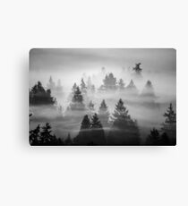 Ghosts Canvas Print