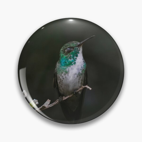 Item preview, Versicolored emerald Hummingbird designed and sold by anafrancisconi.