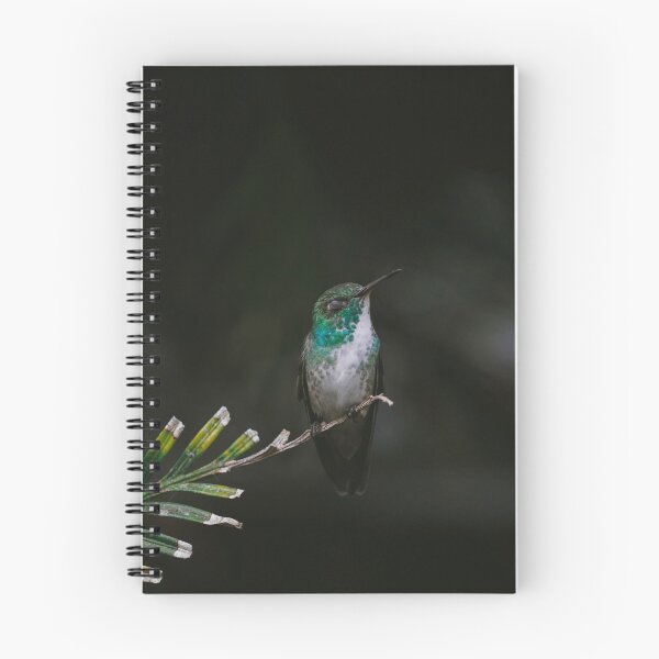 Item preview, Versicolored emerald Hummingbird designed and sold by anafrancisconi.