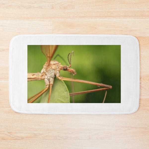 Item preview, cranefly designed and sold by chanonry.