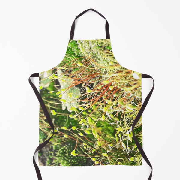 Item preview, NS Small Worlds IV.© designed and sold by OmarHernandez.