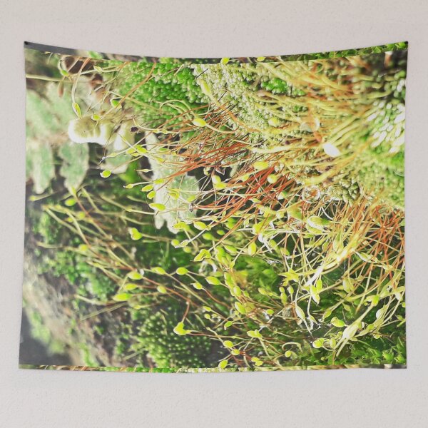 Item preview, NS Small Worlds IV.© designed and sold by OmarHernandez.