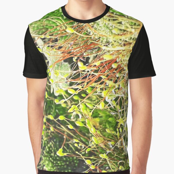 NS Small Worlds IV.© Graphic T-Shirt