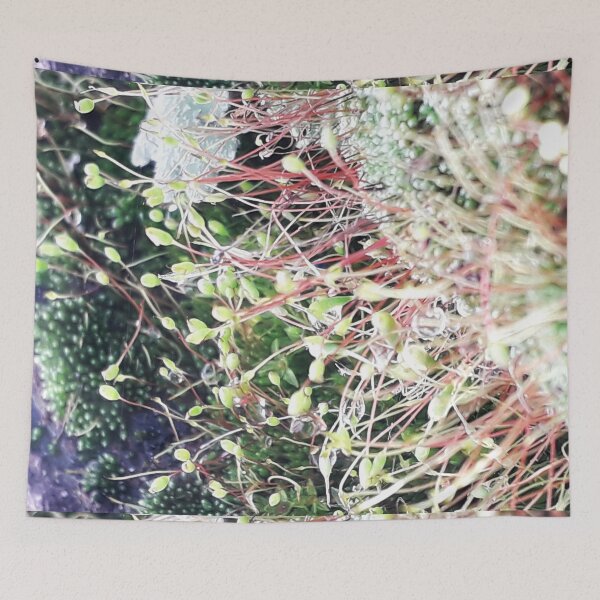 Item preview, NS Small Worlds V.© designed and sold by OmarHernandez.