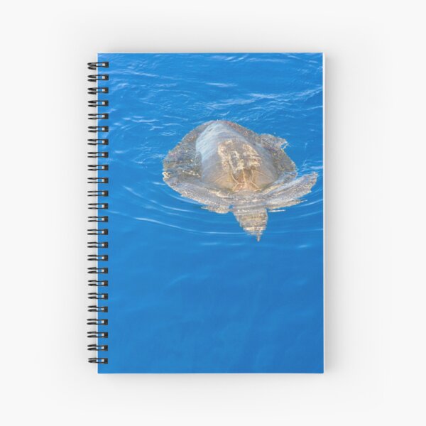 Sea Turtle in Open Ocean Spiral Notebook