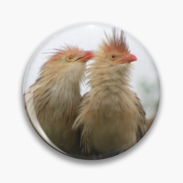 Item preview, #1369 - Guira Cuckoo designed and sold by MyInnereyeMike.