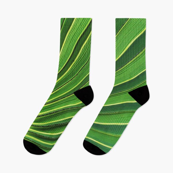 Item preview, Leaf Lines designed and sold by Lydia Planalp.