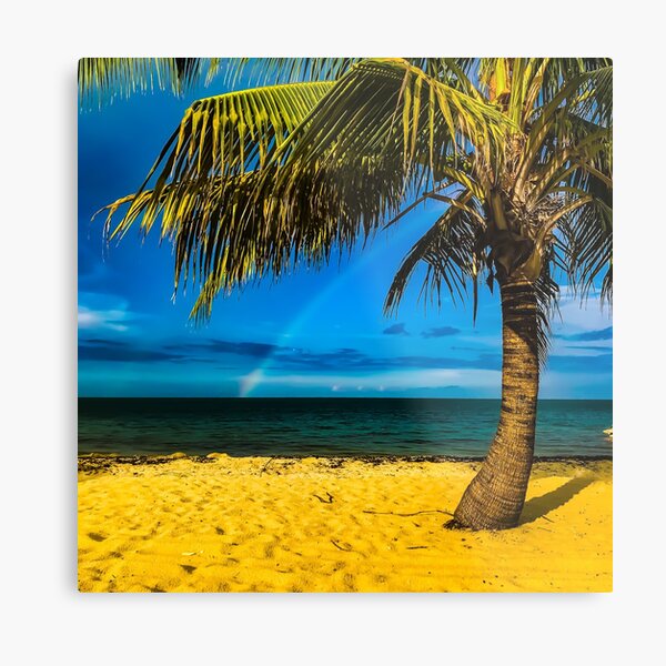 Rainbow and Palm Tree Metal Print