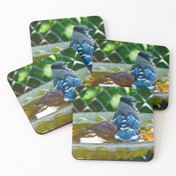 Item preview, Bluejay designed and sold by CanadianWild418.