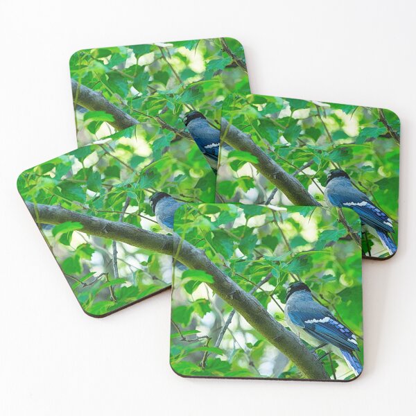 Artikelvorschau, Bluejay thront entworfen und verkauft von CanadianWild418.