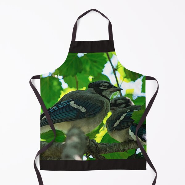 Artikelvorschau, Junge Bluejays warten darauf, dass die Eltern Essen bringen. entworfen und verkauft von CanadianWild418.