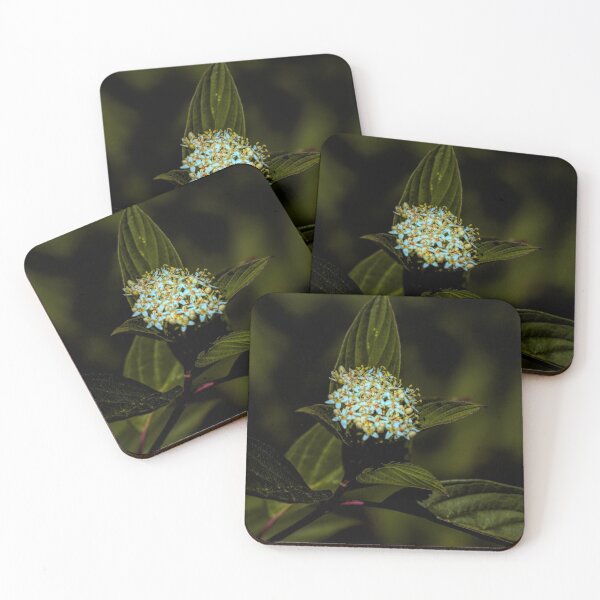 Item preview, Flowers in the mountains. designed and sold by CanadianWild418.