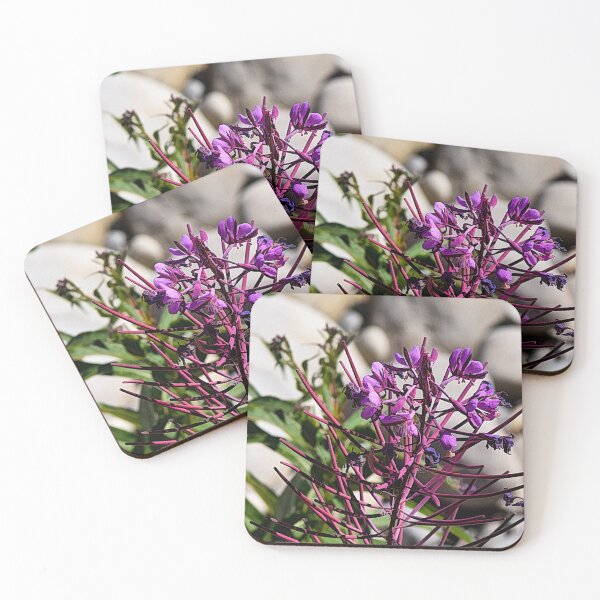 Item preview, Colourful plant designed and sold by CanadianWild418.