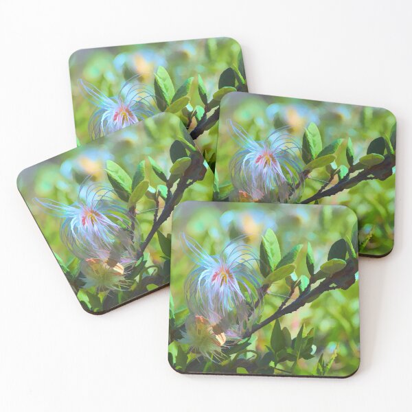 Item preview, Illustration of plants in the high country. designed and sold by CanadianWild418.