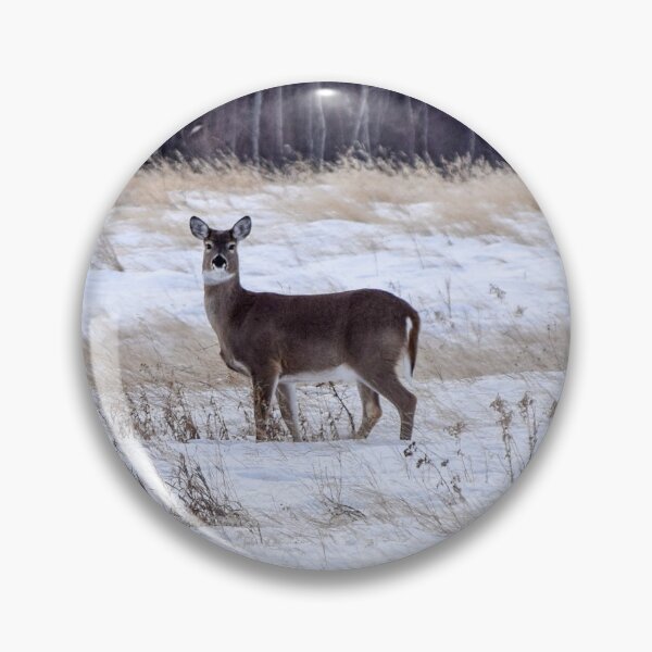 Item preview, Whitetailed deer in a field. designed and sold by CanadianWild418.