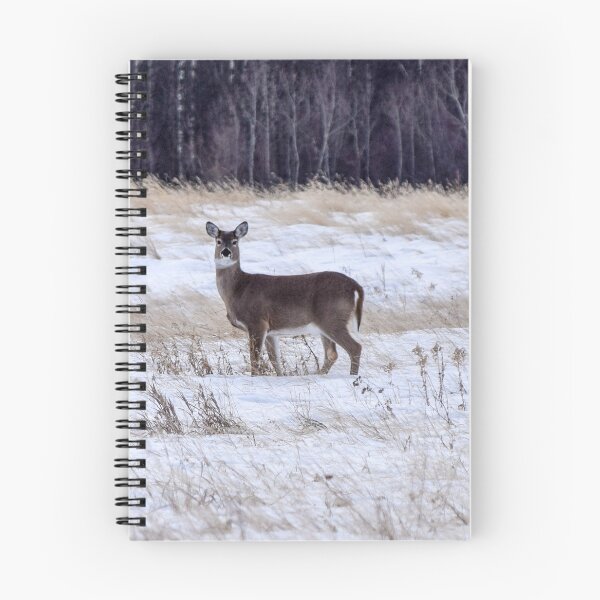 Item preview, Whitetailed deer in a field. designed and sold by CanadianWild418.