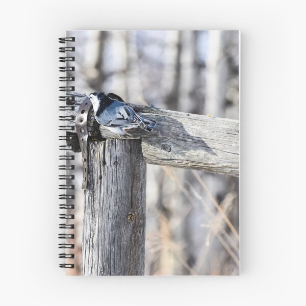 Item preview, Nuthatch on the fenceline designed and sold by CanadianWild418.