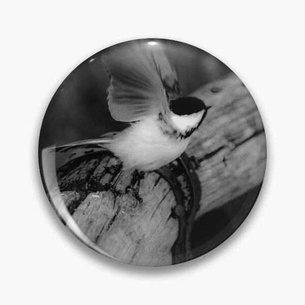 Item preview, Chickadee taking flight in black and white. designed and sold by CanadianWild418.