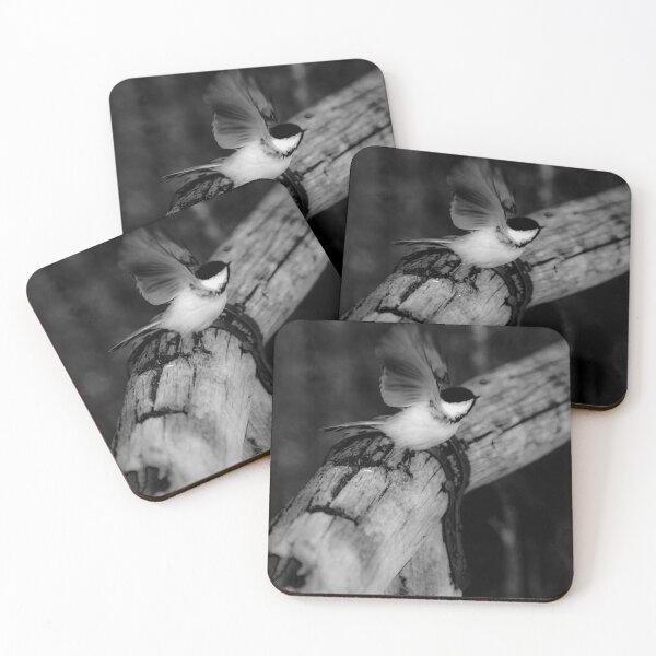 Item preview, Chickadee taking flight in black and white. designed and sold by CanadianWild418.