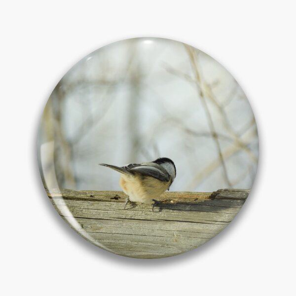 Item preview, Chickadee in a vintage style picture. designed and sold by CanadianWild418.