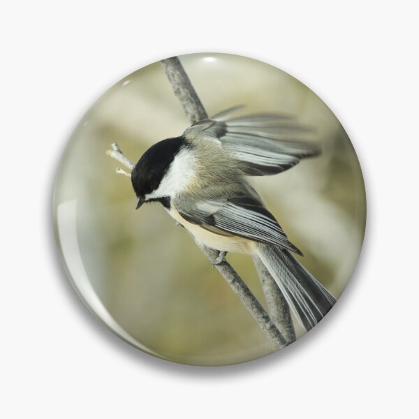 Item preview, Vintage style photograph of a chickadee designed and sold by CanadianWild418.