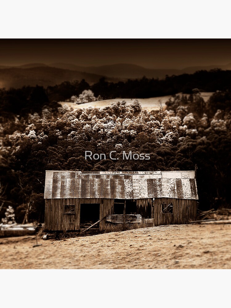 Huon Hut by ronmoss