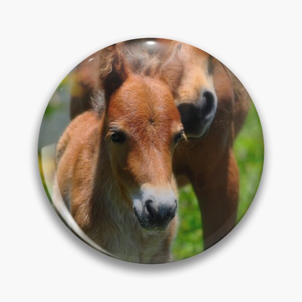 Item preview, I've Got Your Back designed and sold by Karen Peron.