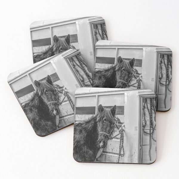 Item preview, Horse in black and white designed and sold by CanadianWild418.